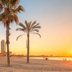 LUIS SALTO - BARCELONA 2024 (AFROHOUSE MIXTAPE)