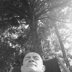 The Universe Whispers To Me ( Tones And Echos )