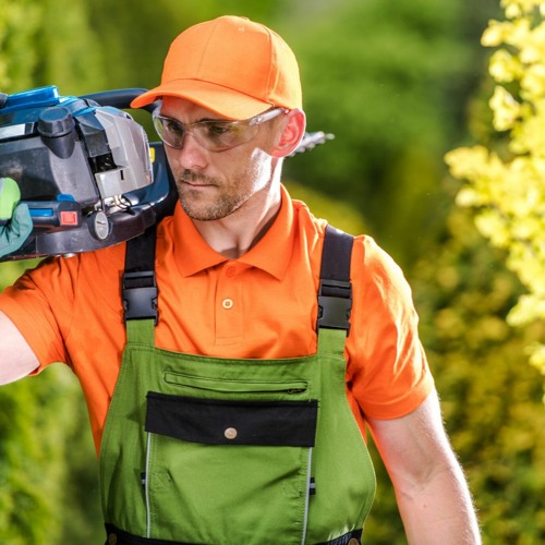 Stream Tree Trimming Company An Overview Of Its Services by Tree