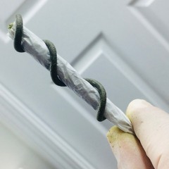 Journey To The Center Of A Trichome