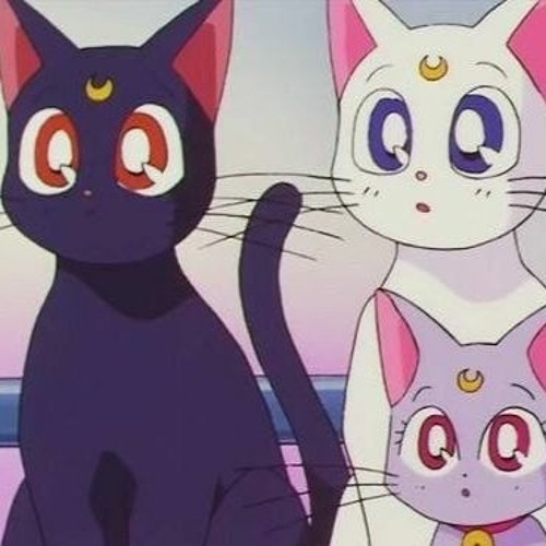 RUN IT UP (Prod. odece)