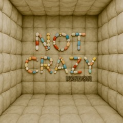 Not Crazy