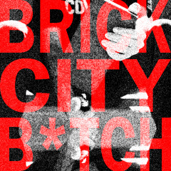 BRICK CITY B*TCH