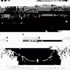 Crystal Castles - Black Panther (b)