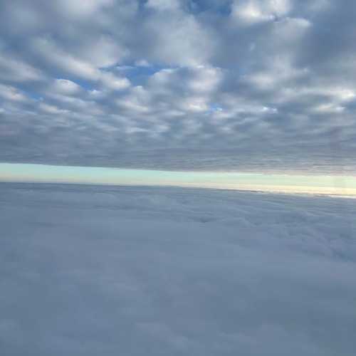 My true feelings(p.Daisy)｜Speed up