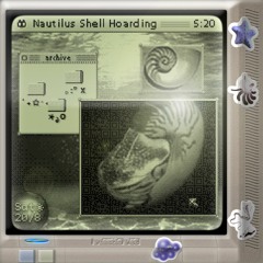 Nautilus Shell Hoarding (w/ Ari Liloia)