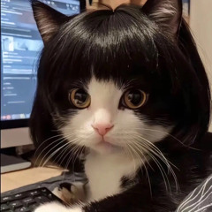 ( đặt ) không còn nước mắt Pilong