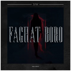 Faghat Boro