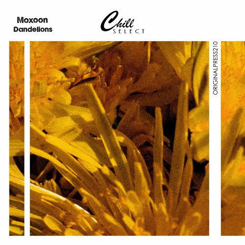 Moxoon - Dandelions