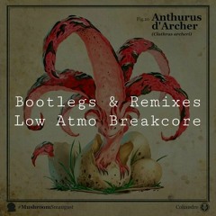 [RMX/VA] "Chilled" Atmo Break Bootlegs | Q7 (451)