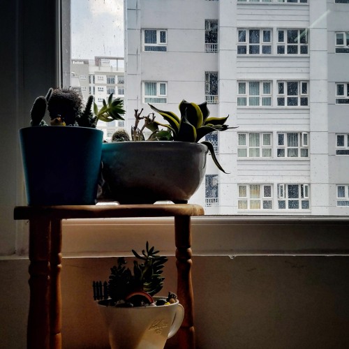 Mùa đông chưa bao giờ tới ... (Uyên Linh ft Vũ) Xoi Cover