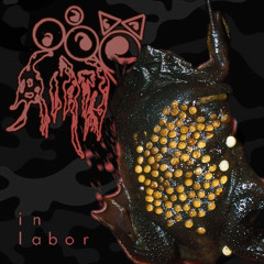 TOAD BIRTH - Untitled