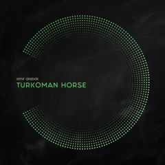 Amir Atabak - Turkoman Horse