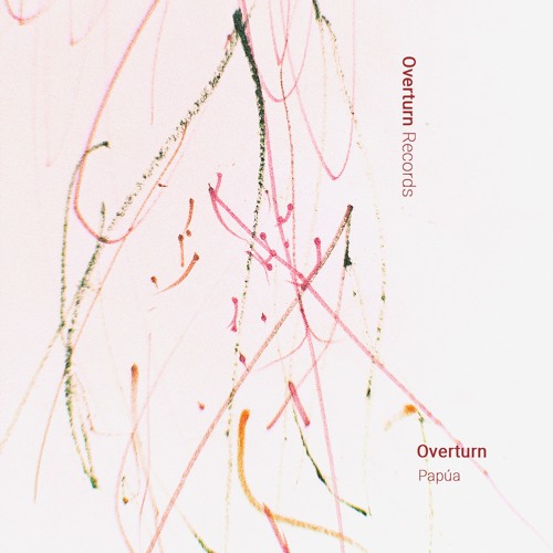 Indefinite Pitch PREMIERES. Overturn - Fly River [Overturn]