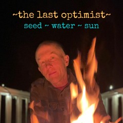 not a sound (Pre Release)