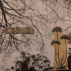 Bosque