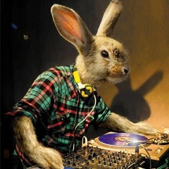 Wolfhard's Easter Rave