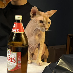 CE N'EST PAS LA MER À BOIRE