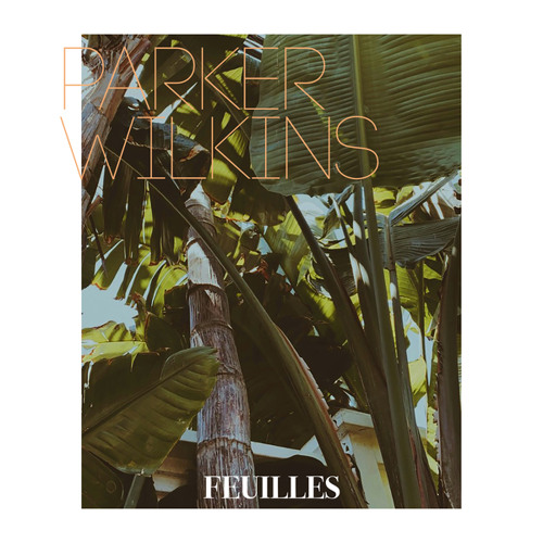 Feuilles