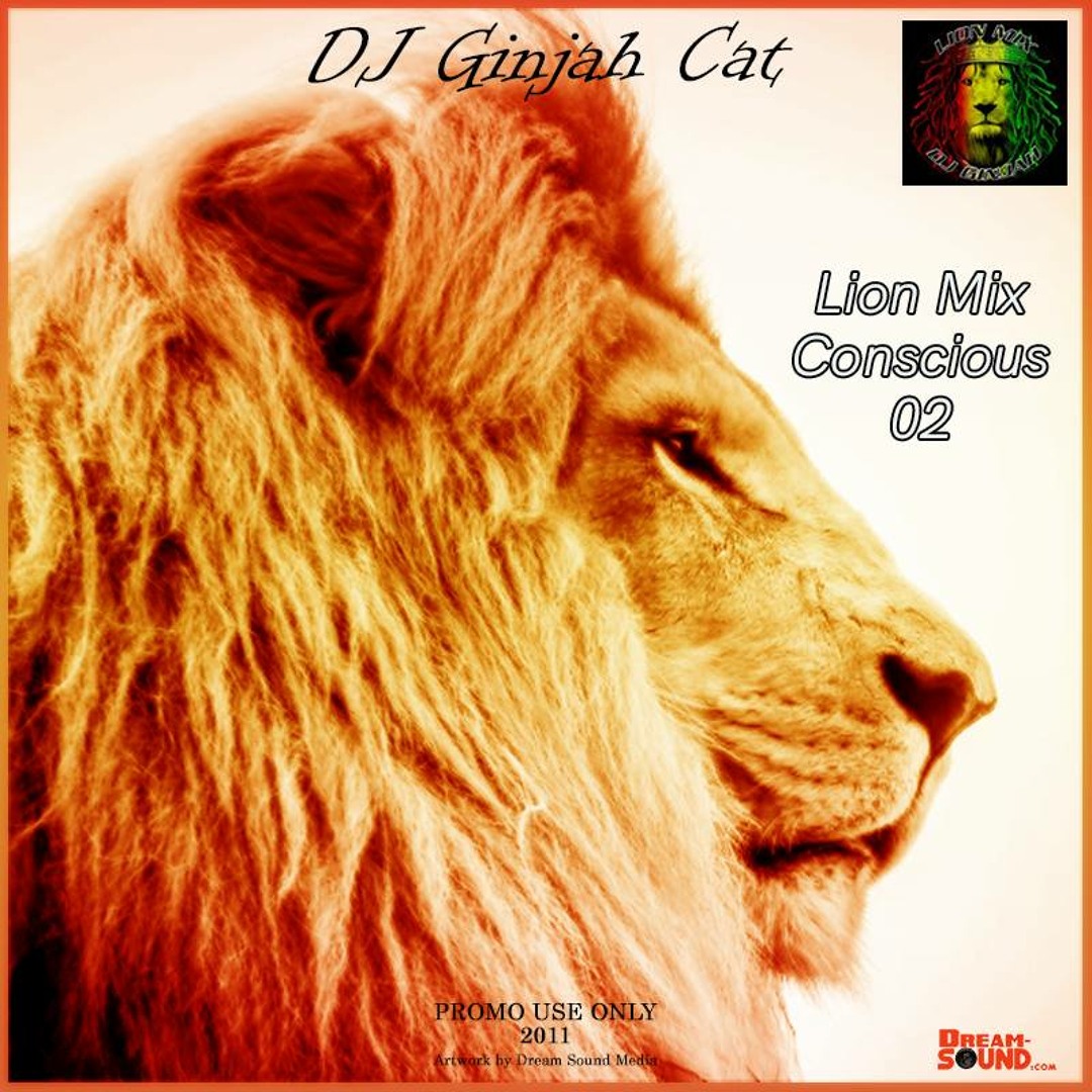 Stream Lion Mix - Changes Riddim Mix (Reggae 2009 Ft I