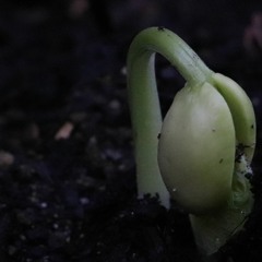 I Gotta Go (Don't Let Me Go)