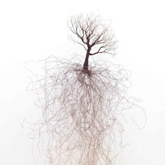 Roots Of Reality