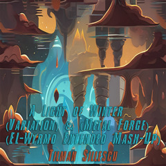 Tilman Sillescu - A Light Of Winter (Variation) & (Metal Forge) (EL-Wyrmo Extended Mash-Up)