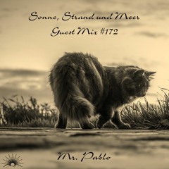 Sonne, Strand und Meer Guest Mix #172 by Mr. Pablo