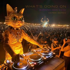 What's Going On: Burning Man 2012