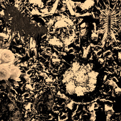 MASSIVE GORE BULGE - Clouds Of Poisonous Regret