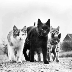 #66 Beat a la venta 🔥