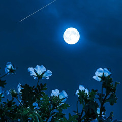 Blue moon