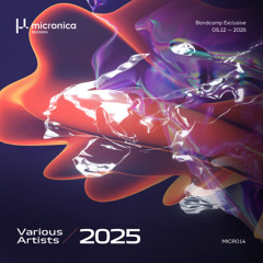 Premiere : D I N - Acid Dreams (MICR014)