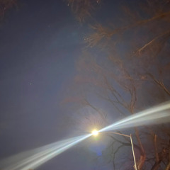 i don't see stars where i'm from