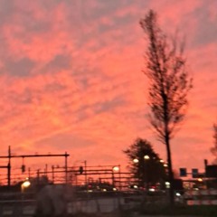 infinite horse tranquilizer