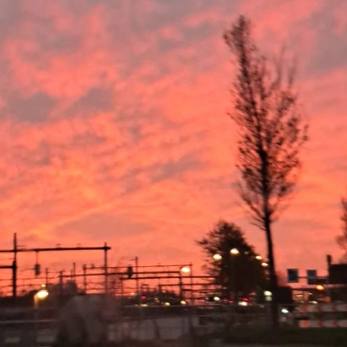 infinite horse tranquilizer