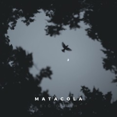 Matacola
