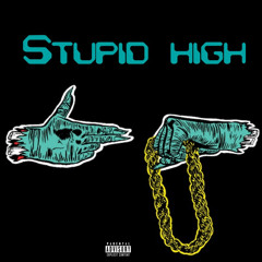 Stupid high