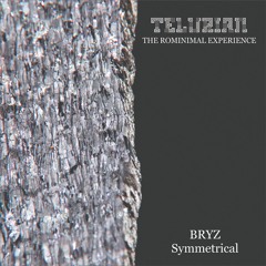 BRYZ - Symmetrical (snippet)