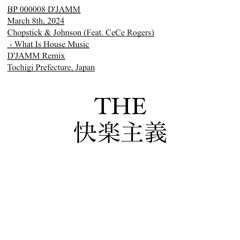 Chopstick & Johnson (Feat. CeCe Rogers)- What Is House Music (D'JAMM Remix)
