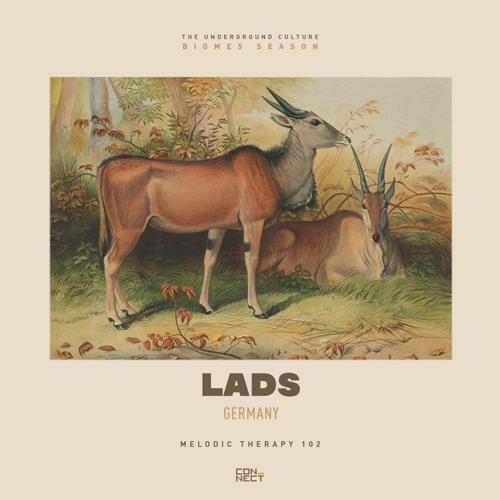 LADS @ Melodic Therapy #102 - Germany