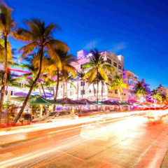 Best Things To Do In Miami Beach Tours Reviews