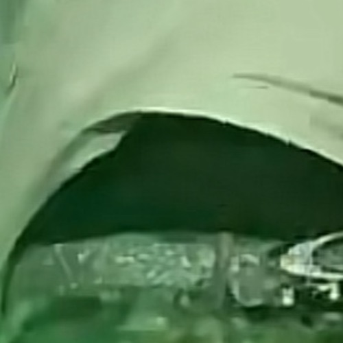 twin - envee x CHRI$00