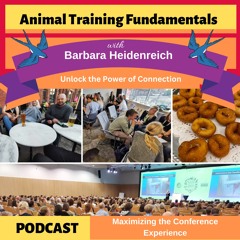 39 - Maximizing the Conference Experience