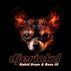 Rabid Drum & Bass III