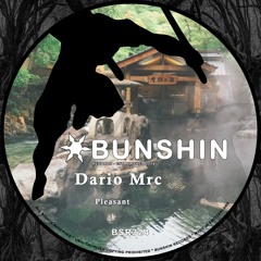 Pleasant (Original Mix) [Bunshin Records]