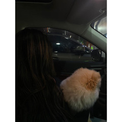 midnight ride