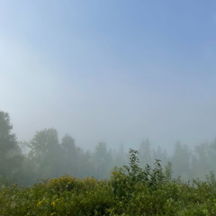 Silver Springs (Julia Spelman)