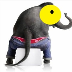 AGD - Elephants Never Forget