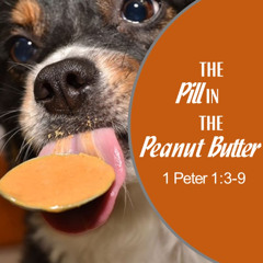 Sermon 3-30-25 "The Pill in the Peanut Butter"